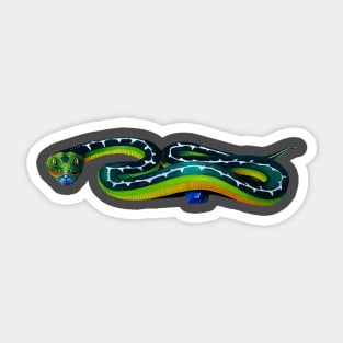 snakes in the grass Sticker